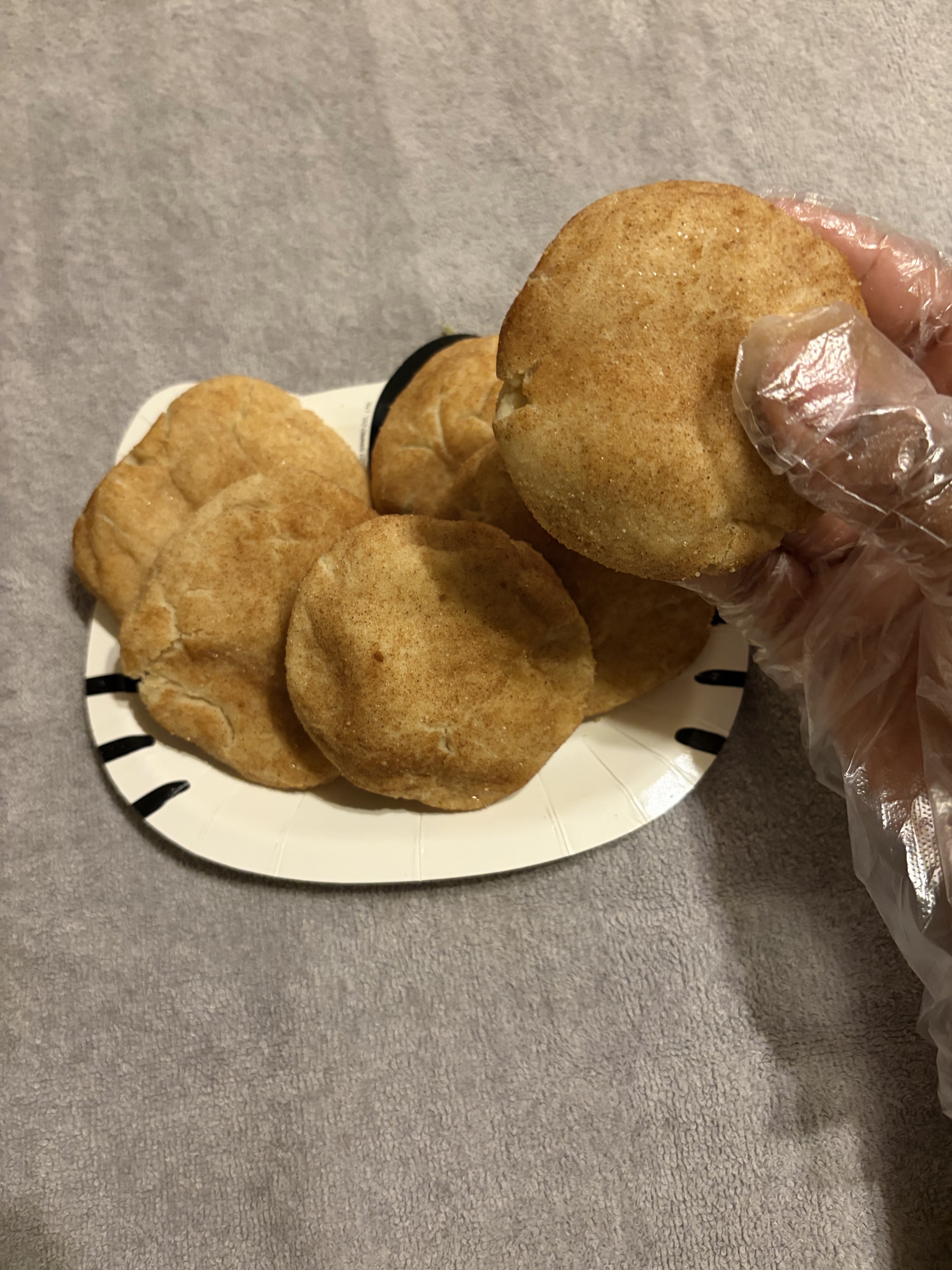 Cinnamon Sugar Snickerdoodle 