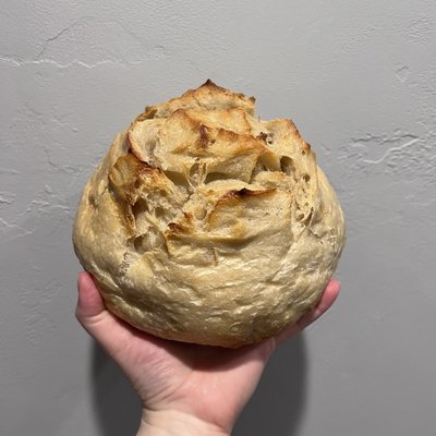 Plain Sourdough Loaf