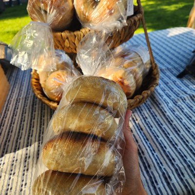 Plain Sourdough Bagels