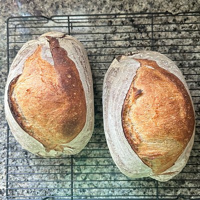 Sourdough Country Loaf