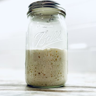 Active Sourdough Starter