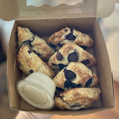 6 ct Lemon Blueberry Scones