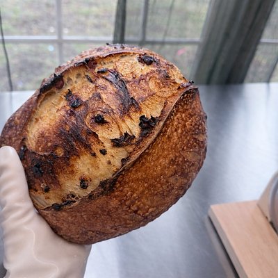 Cranberry, Walnut, & Feta Artisan Sourdough