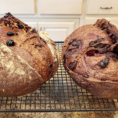 Chocolate Cherry Sourdough Bread