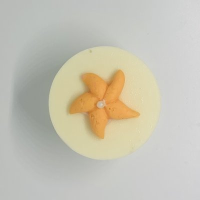 Single Cake Puck (Decorated or Colored)