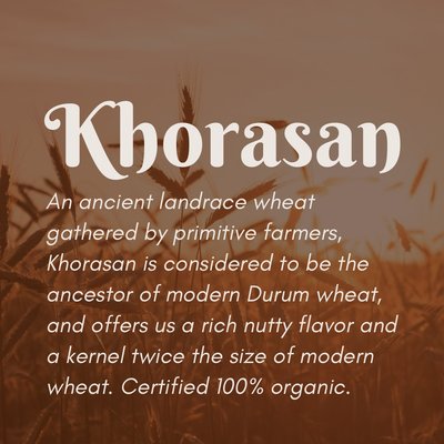 Organic Khorasan Berries (50 lb)