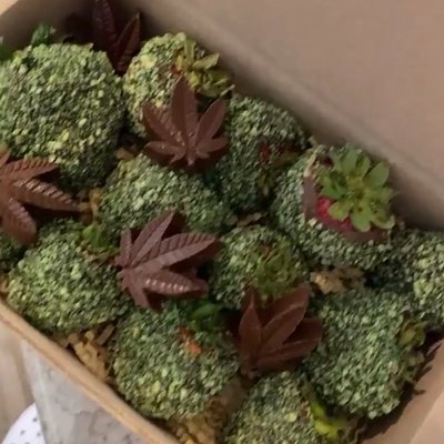Bud Theme Berries