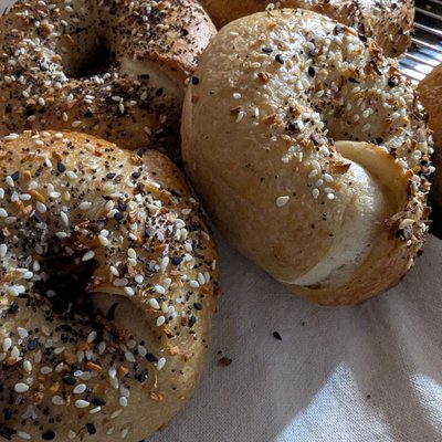 Everything Sourdough Bagels 