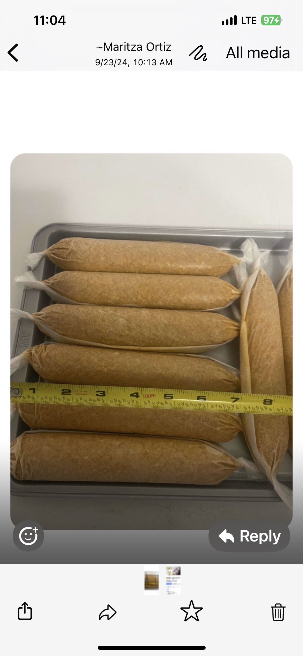 Alcapurrias Carne Masa
