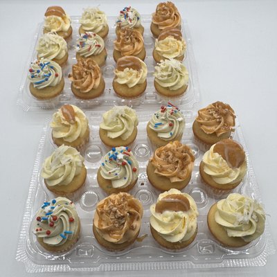 Mini Cupcakes 