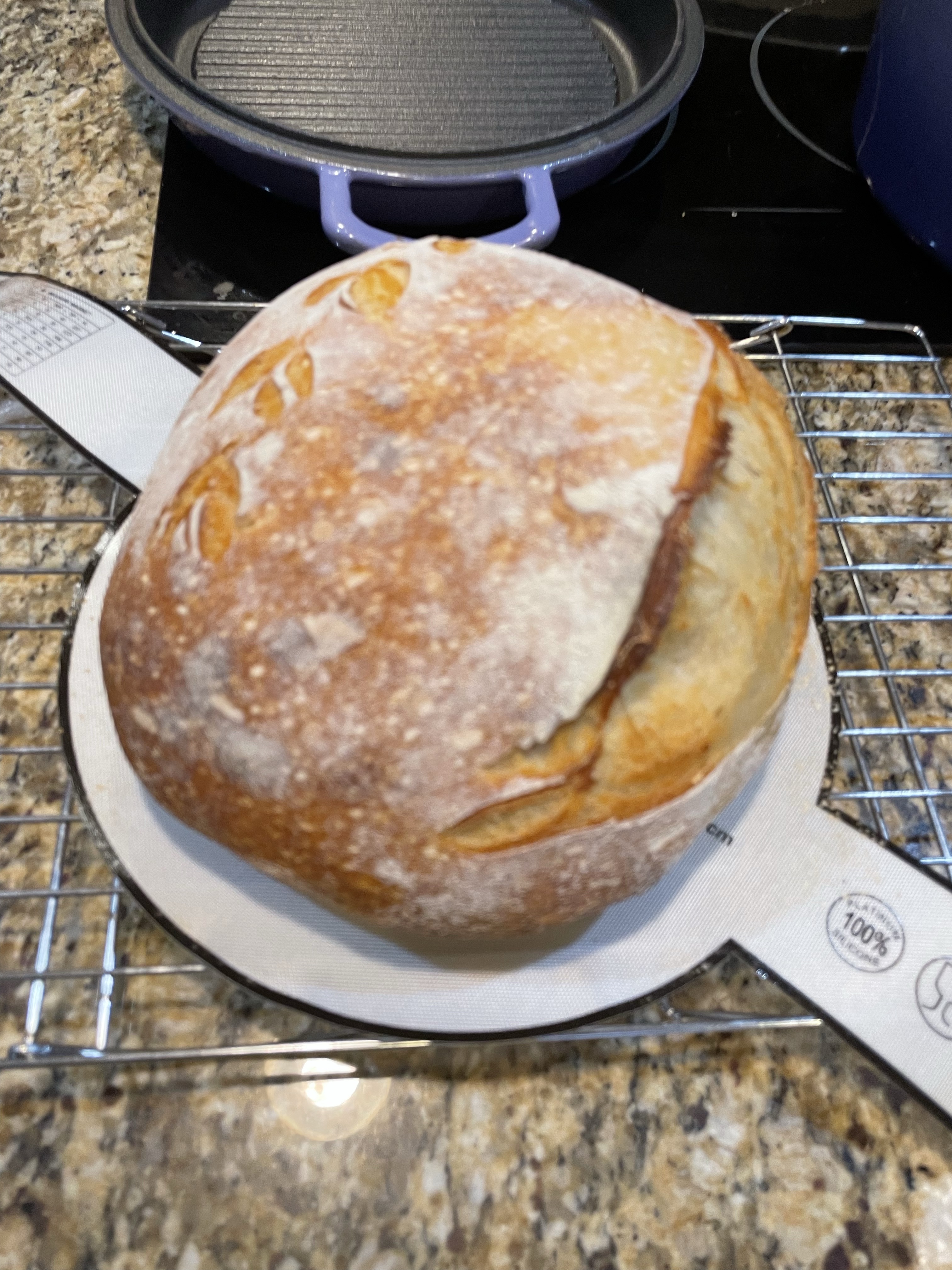 Sourdough Loaf 