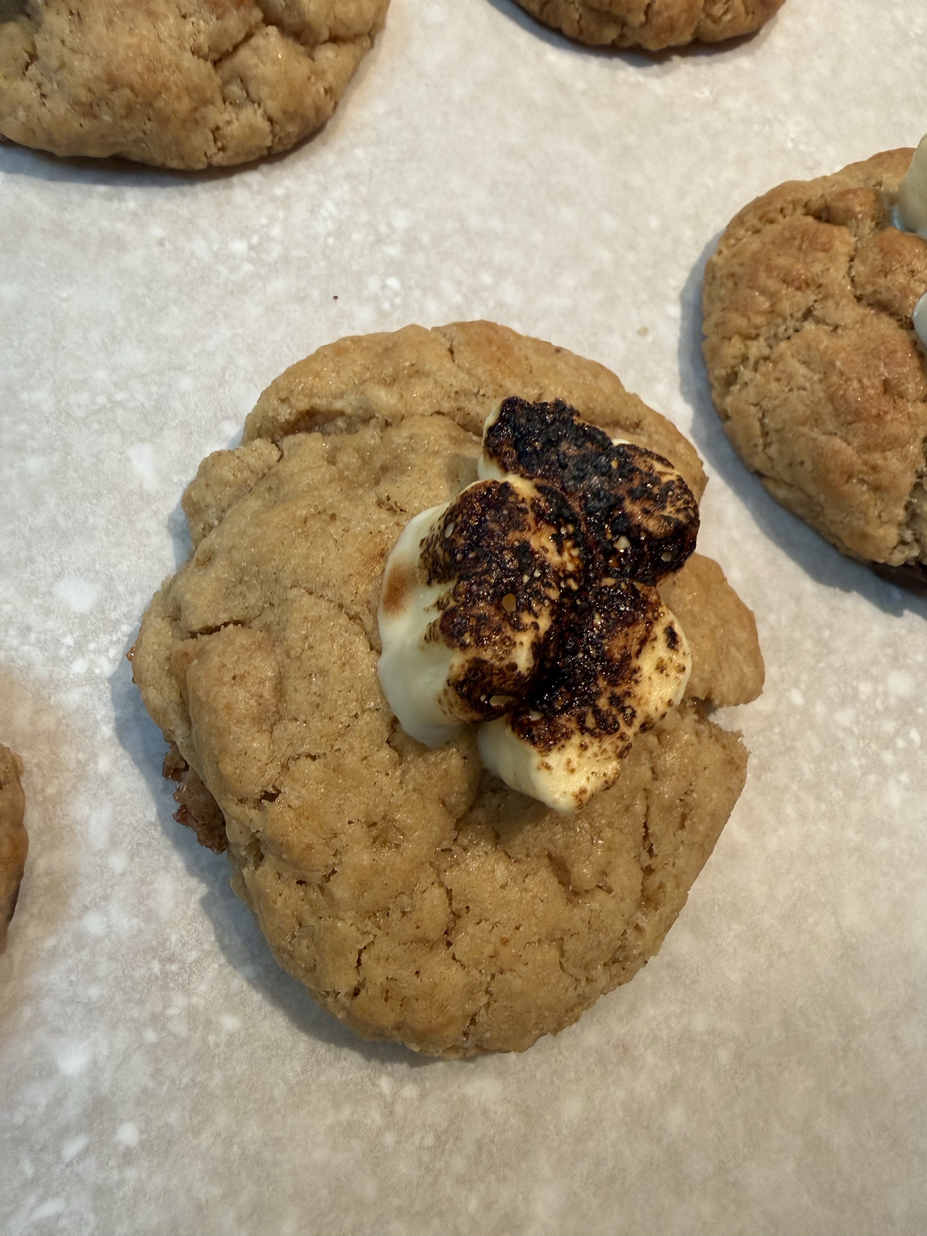 S’Morse Cookies (Double)