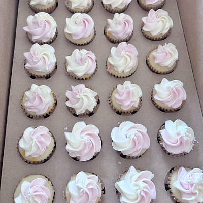 Mini Cupcakes