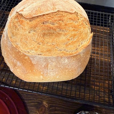 Regular Sourdough Loaf 