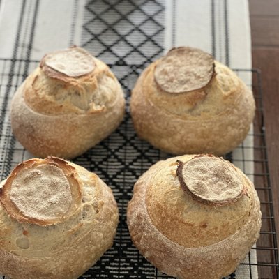 Sourdough Bread Bowls (2 Count )