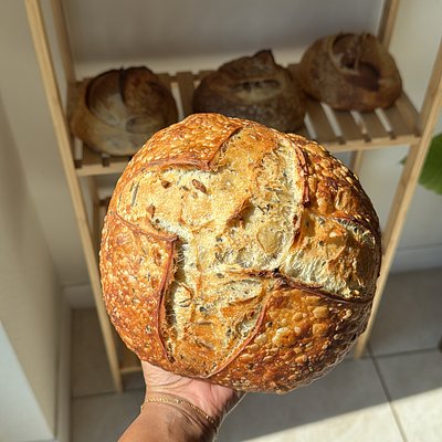 Garlic & Herb