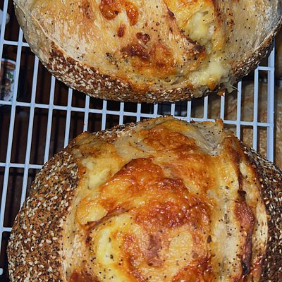 Everything Bagel/Cheddar 