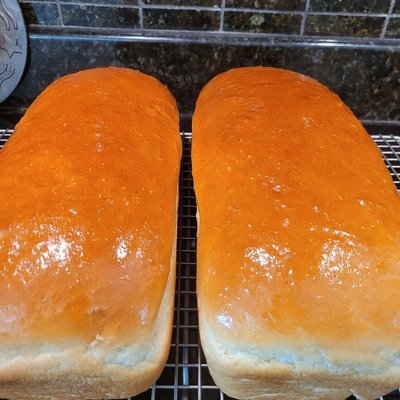 Whole White Bread