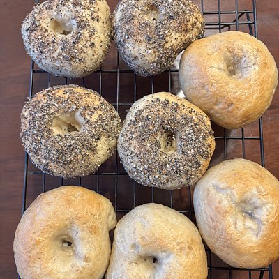 Sourdough Everything Bagels