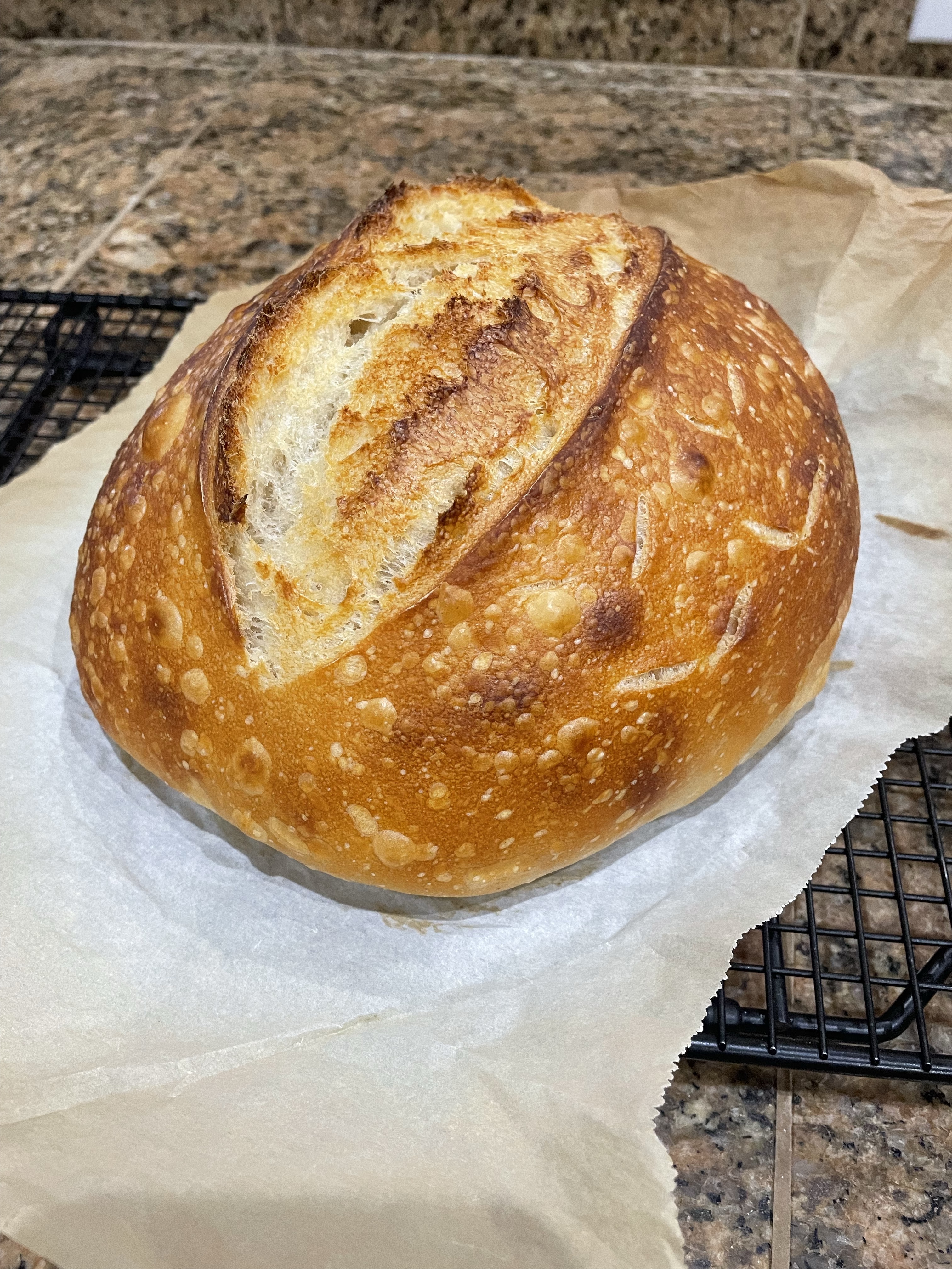 Sourdough Loaf