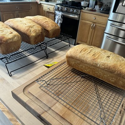 Sourdough Sandwich Loaf - Large