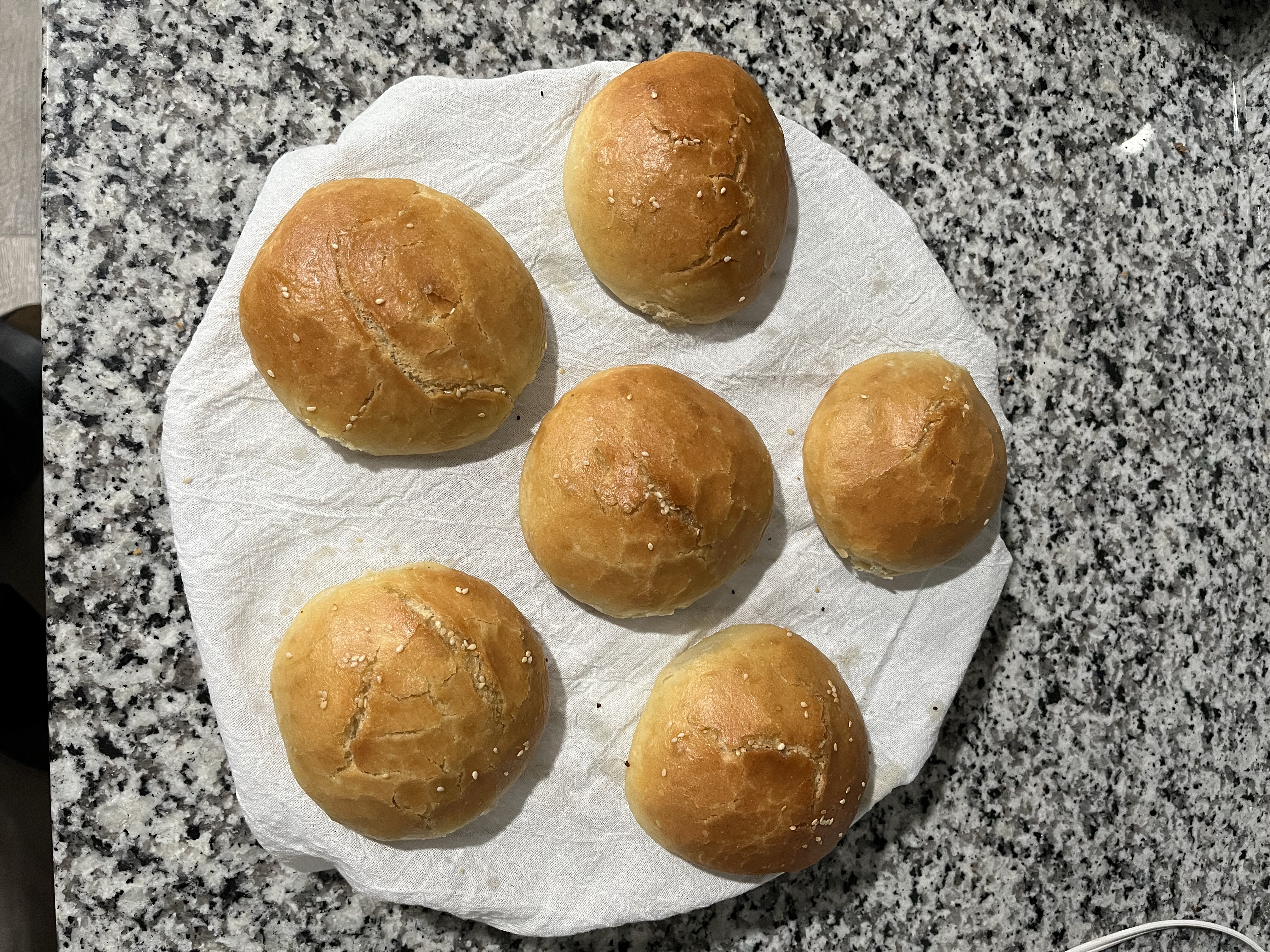 Sourdough Hamburger Bread