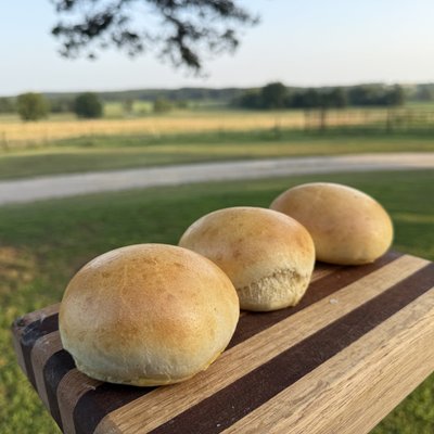 1doz. Large Sourdough Rolls Or Buns 