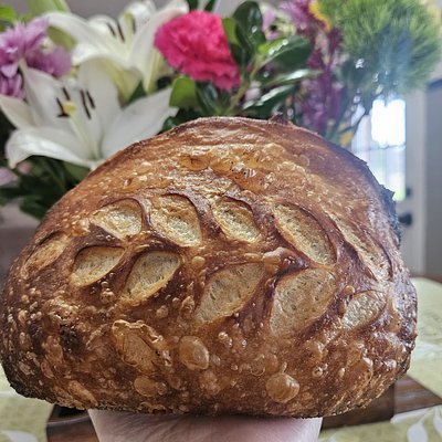 Traditional Artisan Loaf