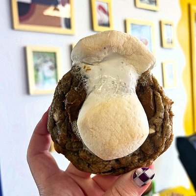 COOKIE BUTTER SMORES 