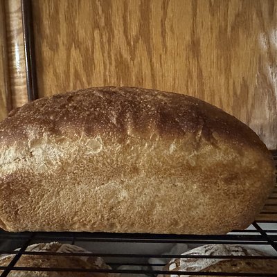 Honey Wheat Sourdough Sandwich Loaf