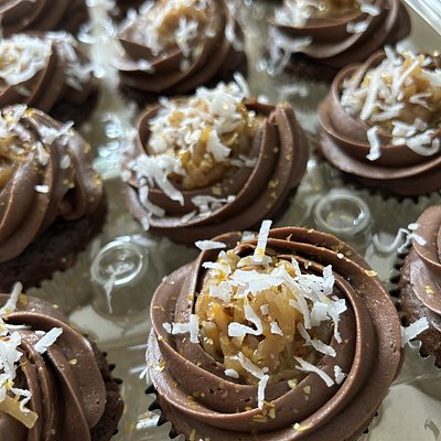 Specialty Cupcakes 