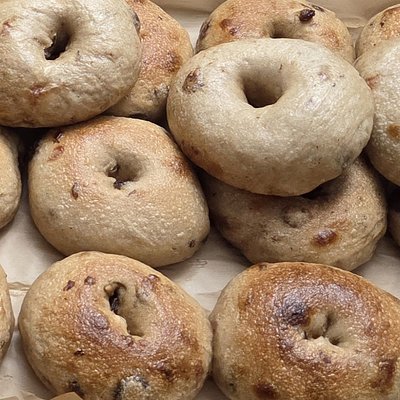 Sourdough Vanilla Cinnamon Raisin Bagels 3 Pack