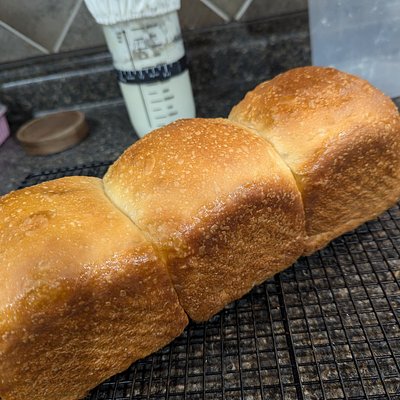 Sourdough Shokupan 1 lb