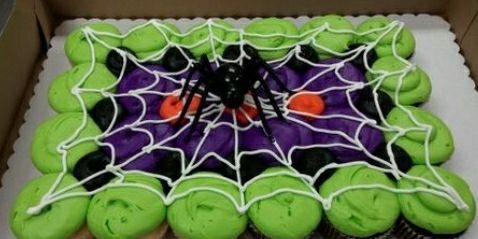 Spider