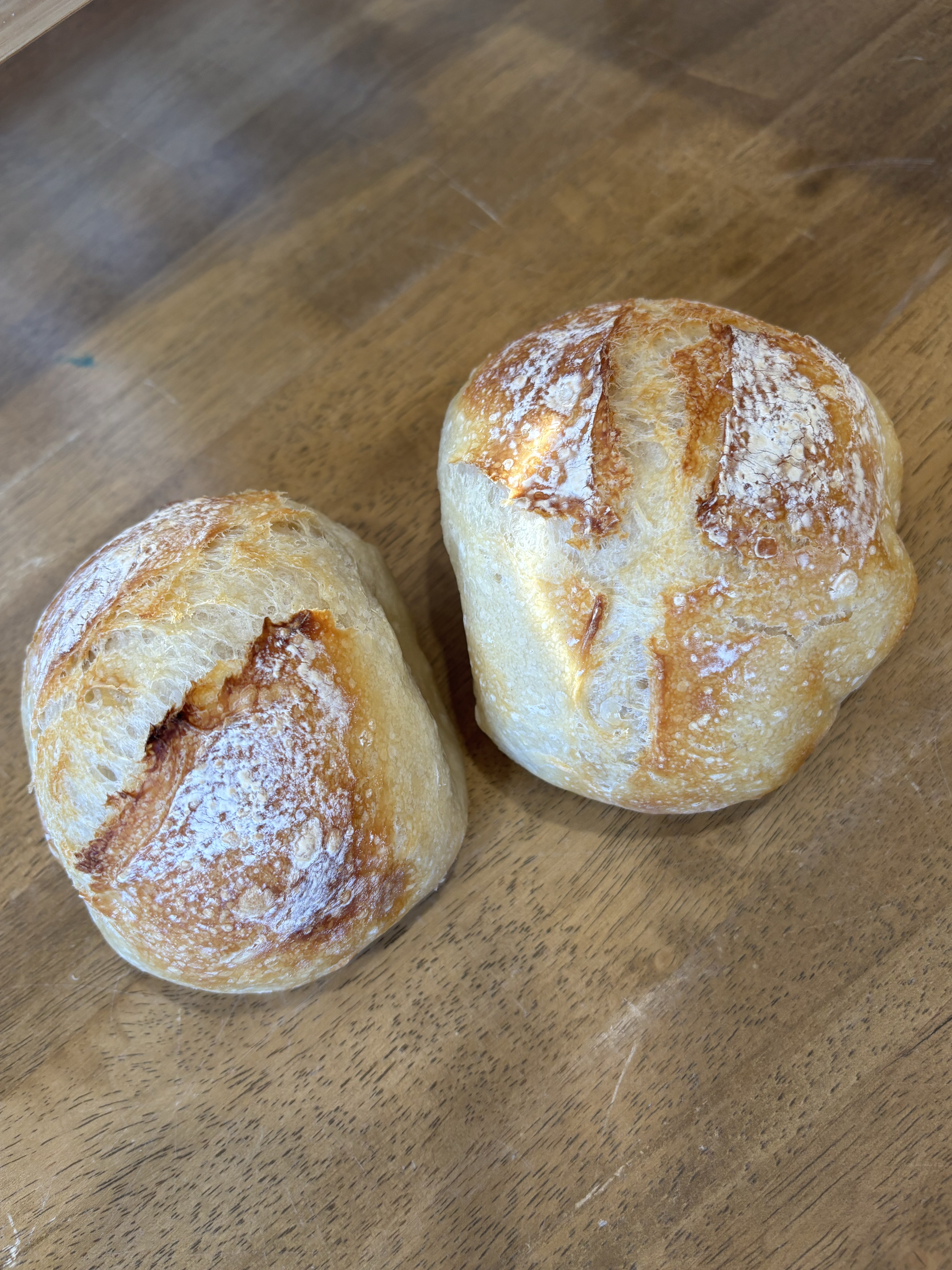 Small Bread Bowls (4) 