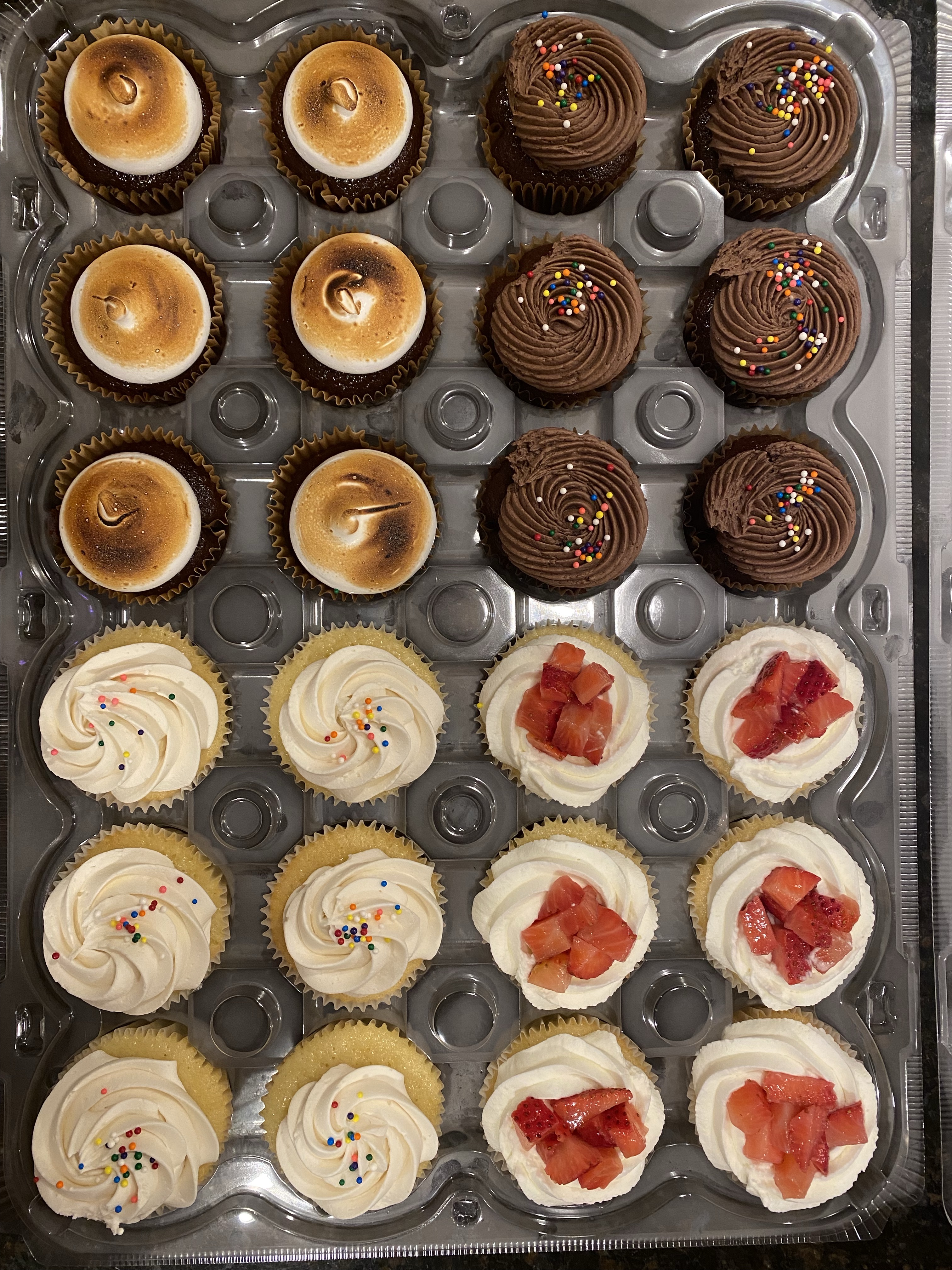24 Cupcake Sample Box