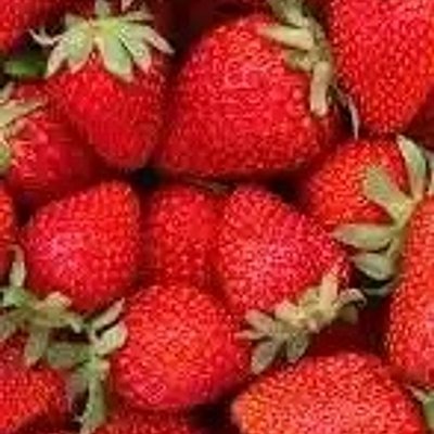 Strawberry Cheesecake ( Sugar Free )