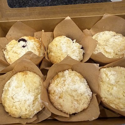 Blueberry & Lemon Muffins (6)