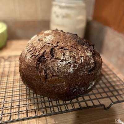 Double Chocolate Chip Sourdough 