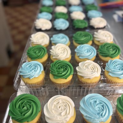 Single Colored Cupcakes 