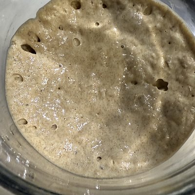 Sourdough Starter 