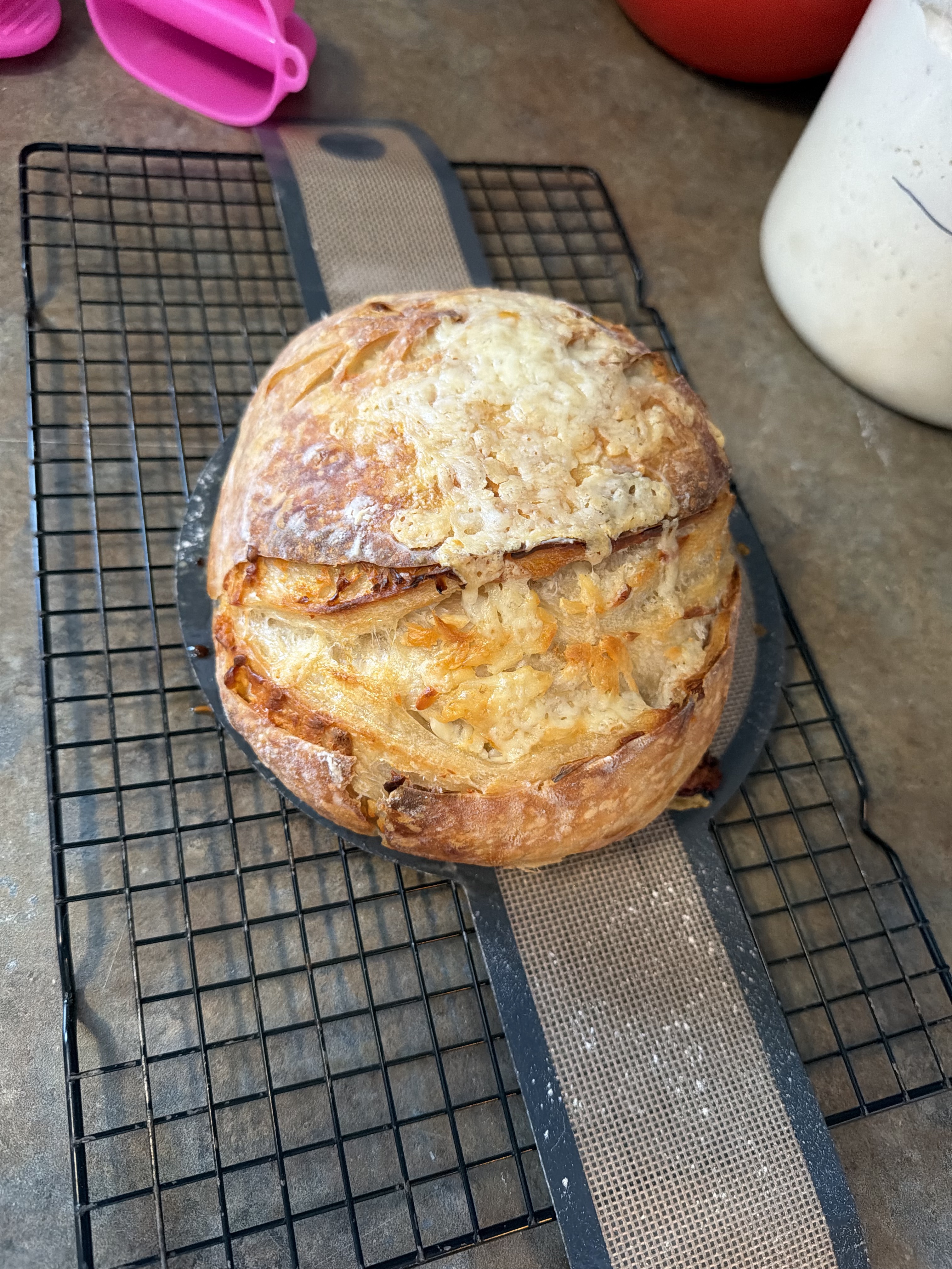 Asiago Loaf