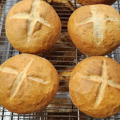 6 Count Bread Bowls 