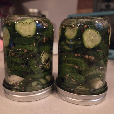 Garlic Dill Pickles- 16oz.