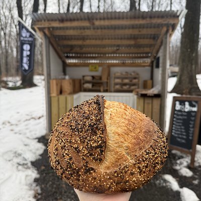 Everything Sourdough Boule