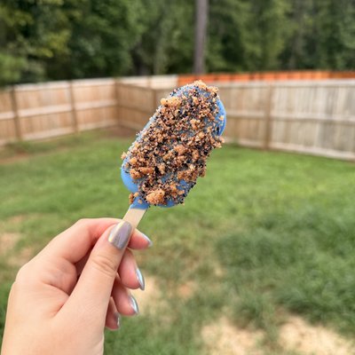 Blueberry Muffin Cake Pop