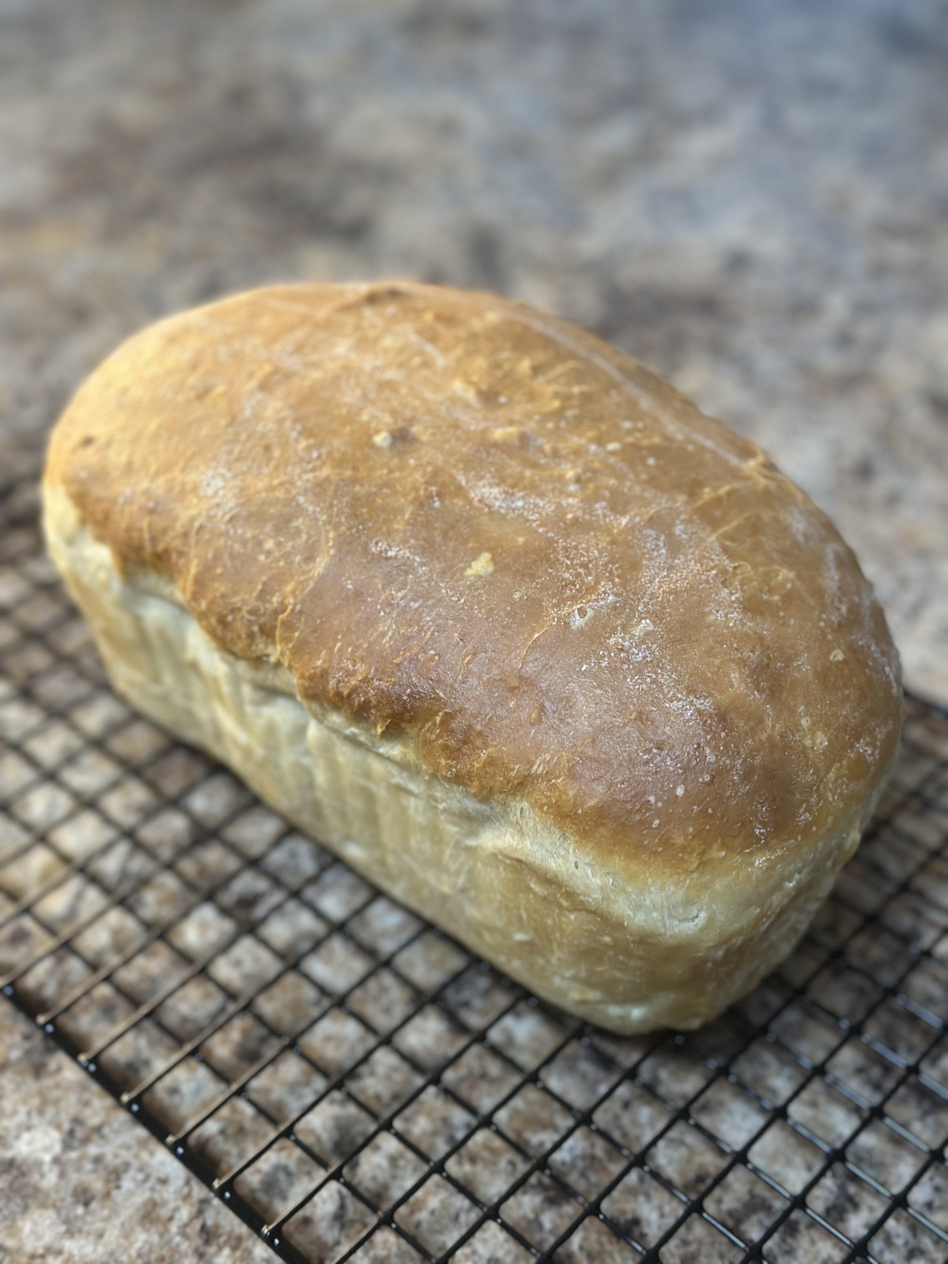Plain Sourdough Sandwich Bread