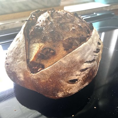 Cinnamon Walnut
