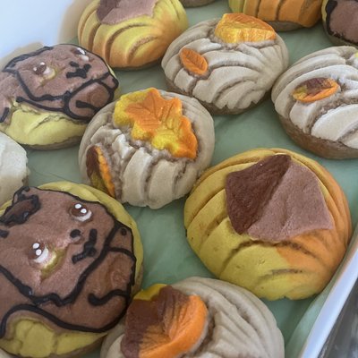 Squirrels & Acorns
