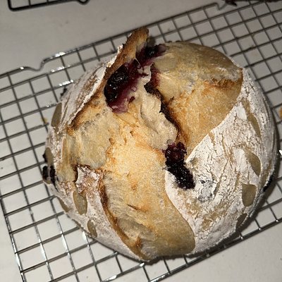Blueberry Lemon Sourdough